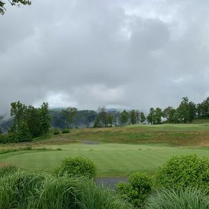 Meet your Posher, Luie